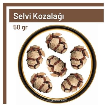 TOS The Organic Spices 50 gr Selvi Kozalağı Cupressus Sempervirens