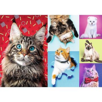 Trefl Puzzle Happy Cats 1000 Parça Puzzle