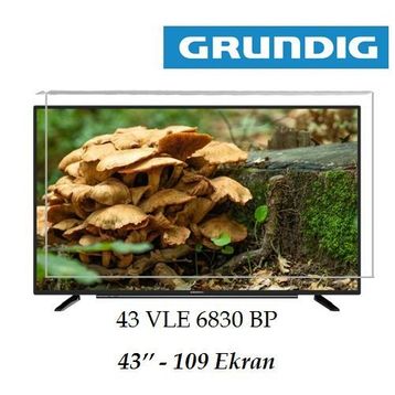 Trendglass Grundig 43 VLE 6830 BP 43 İnç 109 Ekran LED LCD Tv Ekran Koruyucu Panel