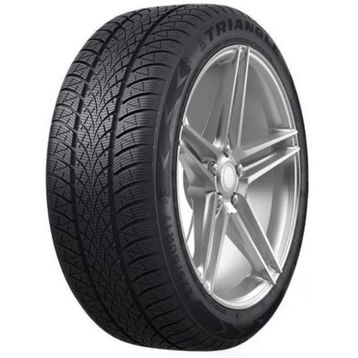 Triangle 205/55 R17 95V XL TW401 Winterx Kış Lastiği 2025