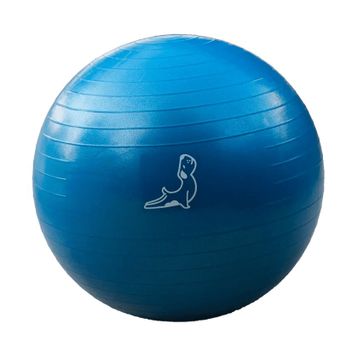 Triathlon Mavi 65 cm Pilates Topu