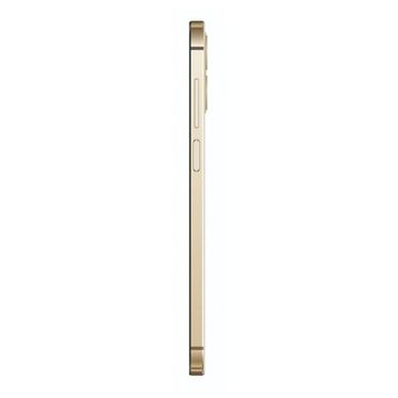Trident A55 128 GB 6 GB Ram Altın
