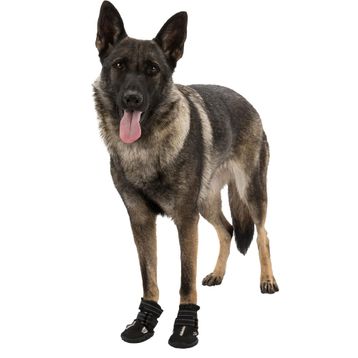Trixie 19461 2 Adet Siyah Köpek Yürüyüş Botu