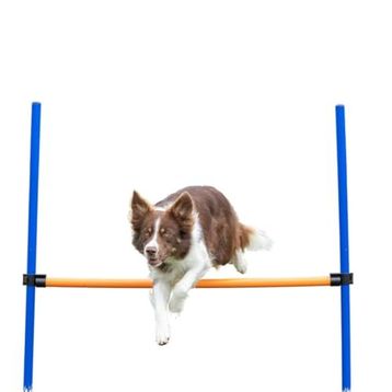 Trixie 3207 123 x 115 x 3 cm Köpek Agility Eğitim Manisi