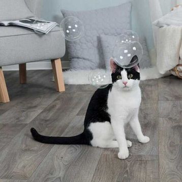 Trixie Kedi Otlu Balonlar 120 ml Kedi Oyuncağı