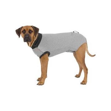 Trixie Xsmall 25 cm Gri Köpek Vücut Koruyucu Elbise