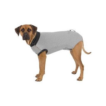 Trixie Xsmall 25 cm Gri Köpek Vücut Koruyucu Elbise