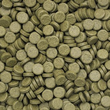 Tropical 3-Algae Tablets A 250 gr Balık Yemi