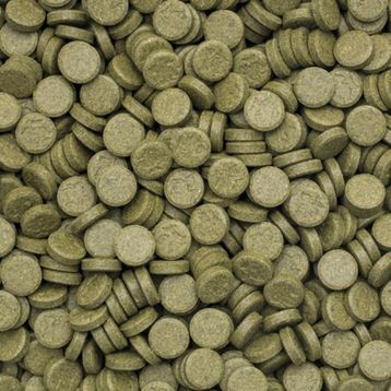 Tropical 3-Algae Tablets A 250 gr Balık Yemi
