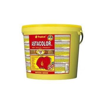 Tropical Astacolor 100 gr Açık Balık Yemi