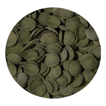 Tropical Green Algae Wafers 100 gr Kovadan Bölme Açık Balık Yemi