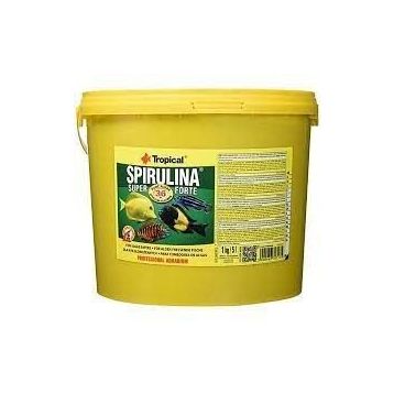 Tropical Spirulina Flakes 11 lt 2 kg Balık Yemi