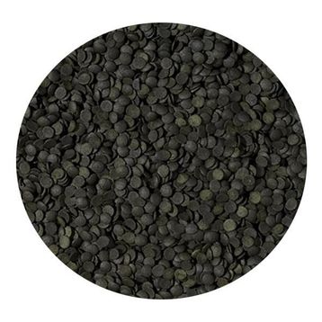 Tropical Super Spirulina Forte Chips 100 gr Balık Yemi