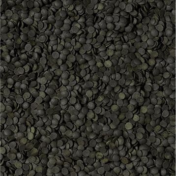 Tropical Super Spirulina Forte Chips 250 gr Balık Yemi