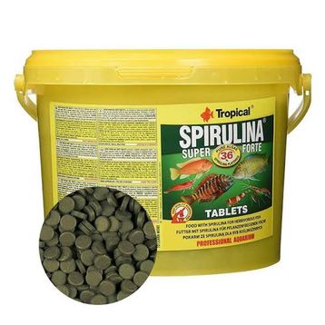 Tropical Tablet Super Spirulina Forte 100 Adet Balık Yemi
