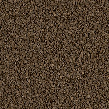 Tropical Welsi Gran 250 gr Balık Yemi