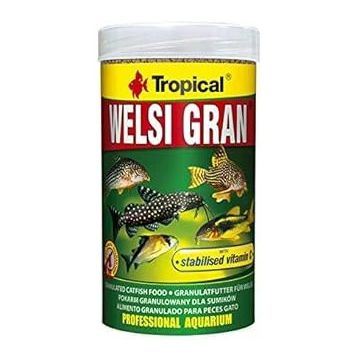 Tropical Welsi Gran 250 gr Balık Yemi