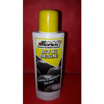 Tropikal Süs Bitkisi Kaktüs Sukulent 225 ml Bitki Besini