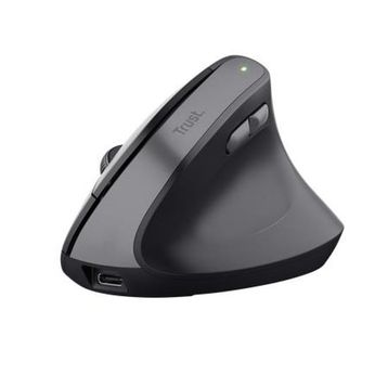 Trust TM-270 Siyah Gri Ergonomik Kablosuz Mouse