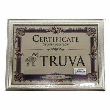 Truva TRV020G 21x29,7cm 2cm A4 Altın Yaldız Çerçeve