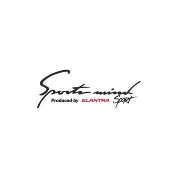 TSC Z128 Hyundai Elentra Sports Mind Araba Yapıştırma Oto Sticker