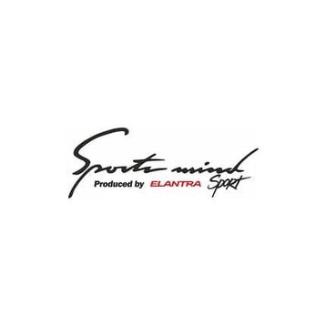 TSC Z128 Hyundai Elentra Sports Mind Araba Yapıştırma Oto Sticker