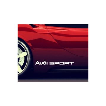 TSC Z357 Audi A4 A6 Tt Sport Araba 2 Adet Yapıştırma Sticker