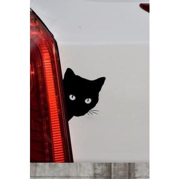 TSC Z903 Sevimli Kedi Z Araba Yapıştırma Sticker