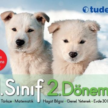 Tudem Yayınları 1. Sınıf 2. Dönem Seti