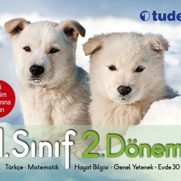 Tudem Yayınları 1. Sınıf 2. Dönem Seti