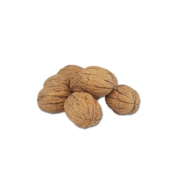 Tuğba Kuruyemiş 1 kg Kabuklu Ceviz