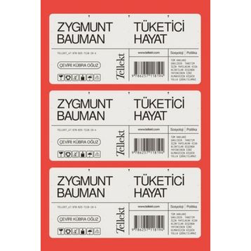 Tüketici Hayat - Zygmunt Bauman