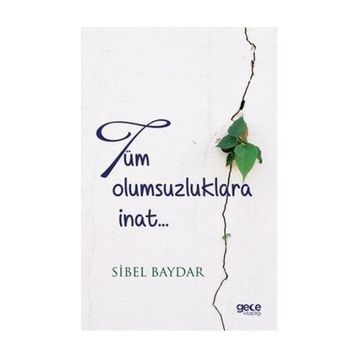 Tüm Olumsuzluklara İnat - Sibel Baydar