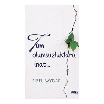 Tüm Olumsuzluklara İnat - Sibel Baydar