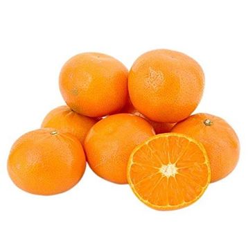 Tüplü Aşılı Çok Verimli Çekirdeksiz Okitsu Mandalina Fidanı