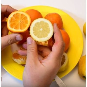 Tüplü Finike Kırmızı Limon Fidanı