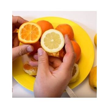 Tüplü Finike Kırmızı Limon Fidanı