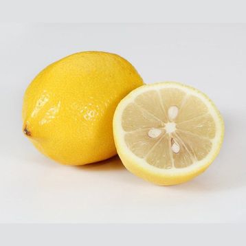 Tüplü Tatlı Limon Şeker Limon Fidanı