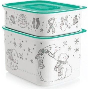 Tupperware 2'li 500-1.3 lt Su Kutup Yıldızı Saklama Kabı
