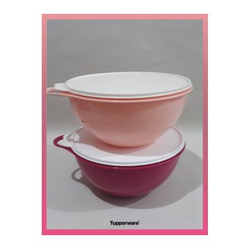 Tupperware 4.5 lt 2'li Mikser Kabı