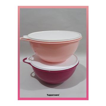 Tupperware 4.5 lt 2'li Mikser Kabı