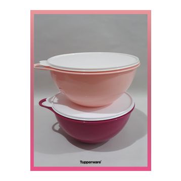 Tupperware 4.5 lt 2'li Mikser Kabı