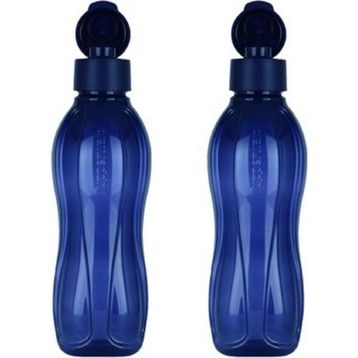 Tupperware 500 ml 2'li Lacivert Suluk
