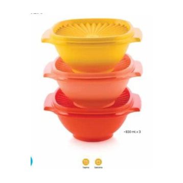 Tupperware 830 ml 3'lü Yıldız Kap