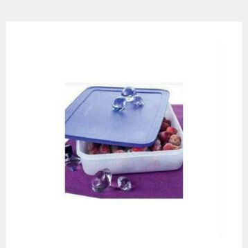 Tupperware Alaska 2.25 lt Saklama Kabı