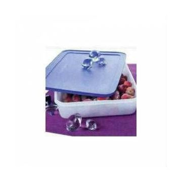 Tupperware Alaska 2.25 lt Saklama Kabı