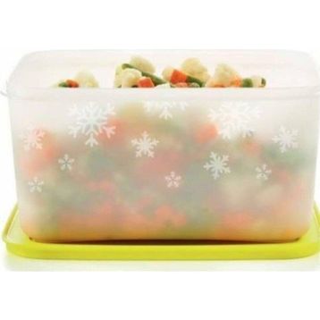 Tupperware Alaska 2x2.5 lt Saklama Kabı