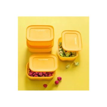 Tupperware Alaska 450 ml Turuncu Saklama Kabı