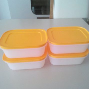 Tupperware Alaska 4'lü Saklama Kabı