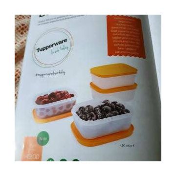 Tupperware Alaska 4'lü Saklama Kabı